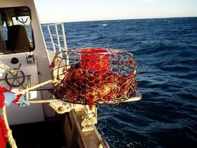Lacepede Seafood - NT Tourism 1