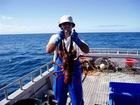 Lacepede Seafood - NT Tourism 2