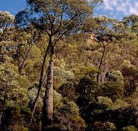 Ka Ka Mundi Carnarvon National Park - Accommodation NT
