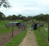 Avenue Emus - Accommodation NT