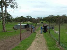 Avenue Emus - Accommodation NT 0