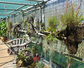 George Brown Darwin Botanic Gardens - Accommodation NT 5