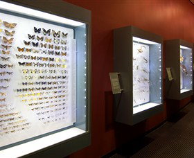 Museum And Art Gallery Of The Northern Territory - Accommodation NT 3