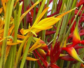 Parap Markets - Accommodation NT 1