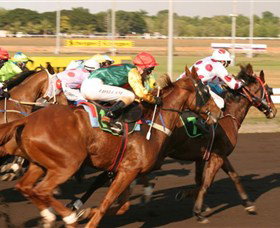 Darwin Turf Club - Accommodation NT 1