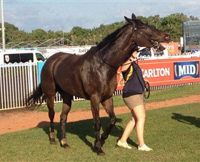Darwin Turf Club - Accommodation NT 2