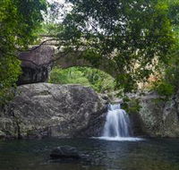 Paluma and Crystal Creek Rainforest - Accommodation NT