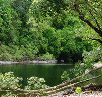 Broadwater Abergowrie State Forest - Accommodation NT