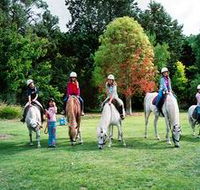 Limestone Coast Horseriding - NT Tourism
