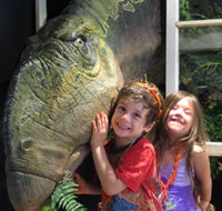 Australian Opal Centre - Accommodation NT