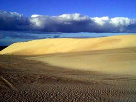Beachport Conservation Park - Accommodation NT 1