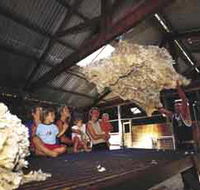 Shear Outback the Australian Shearers Hall of Fame - Accommodation NT