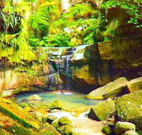 Carnarvon Gorge Carnarvon National Park - Accommodation NT