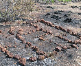 Wurrwurrwuy (Garanhan) Macassan Beach Interpretive Walk - NT Tourism 3