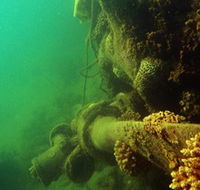 Wreck Diving at Magnetic Island - Accommodation NT