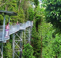 Mamu Tropical Skywalk - Accommodation NT