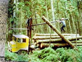 Nangwarry Forestry And Logging Museum - Accommodation NT 3