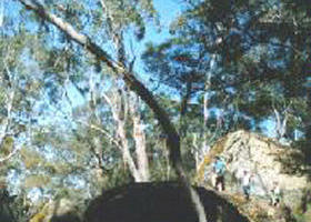 Dergholm VIC NT Tourism