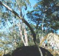 Dergholm State Park - NT Tourism
