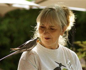 Boort VIC Accommodation NT