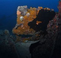 Lady Bowen Dive Site - Accommodation NT