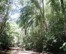 Julatten QLD Accommodation NT