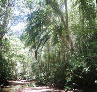 Mount Lewis National Park - Accommodation NT