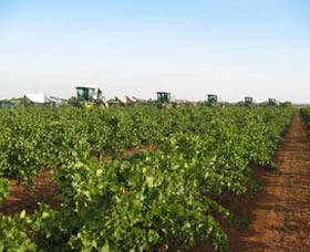 Warburn Estate - Accommodation NT 1