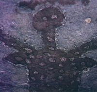 Quinkan Reserves Ancient Rock Art - Accommodation NT