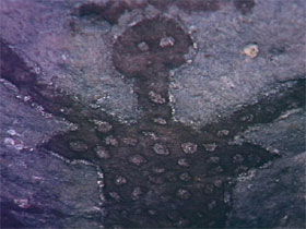 Quinkan Reserves Ancient Rock Art - Accommodation NT 0