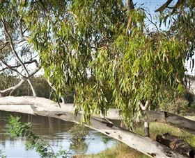 Beach To Beach Riverside Walk - Accommodation NT 6