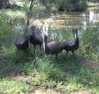 East Tolans Farm Tour - Accommodation NT