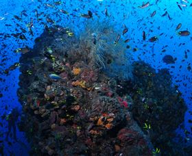 SS Yongala Dive Site - Accommodation NT 1