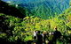 Eungella National Park - thumb 3