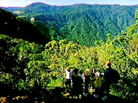 Eungella National Park - Accommodation NT 3
