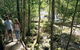 Eungella National Park - thumb 2