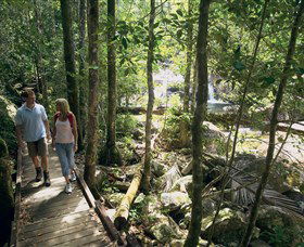 Eungella National Park - Accommodation NT 2