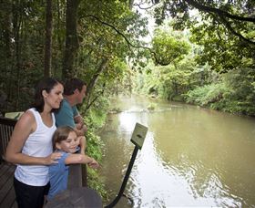 Platypus Viewing At Broken River - Accommodation NT 1