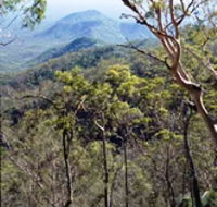 Crediton State Forest - Accommodation NT