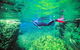 Piccaninnie Ponds Conservation Park - thumb 0