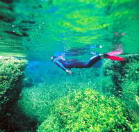 Piccaninnie Ponds Conservation Park - Accommodation NT