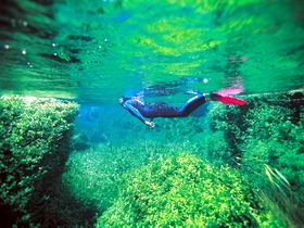 Piccaninnie Ponds Conservation Park - Accommodation NT 0
