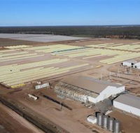 Southern Cotton Gin - Accommodation NT