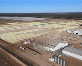 Southern Cotton Gin - Accommodation NT 0