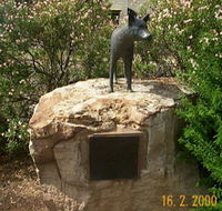 Dingo Statue - Accommodation NT
