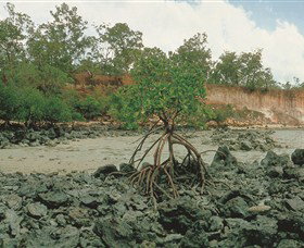 Garig Gunak Barlu National Park - Accommodation NT 3