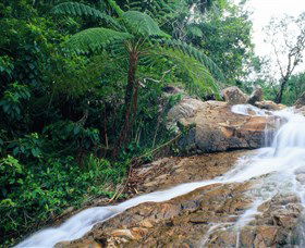 Finch Hatton Gorge - Accommodation NT 0