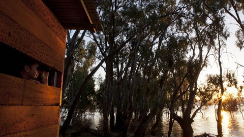 Murray Valley National Park - Accommodation NT 1