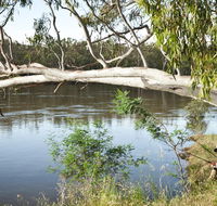 Murray Valley National Park - Accommodation NT