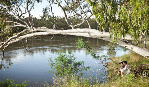 Murray Valley National Park - Accommodation NT 0